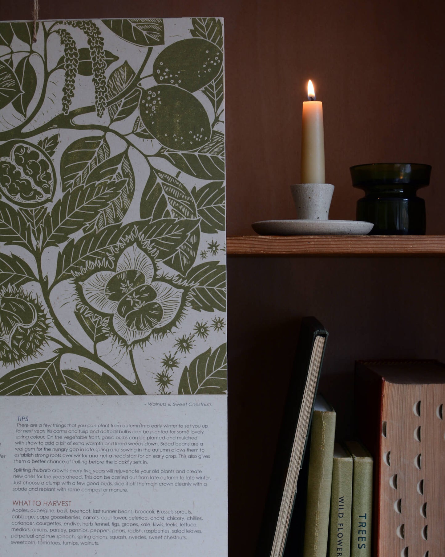 An oatmeal coloured ceramic dinner candle holder, next to a botanical print and collection of books.