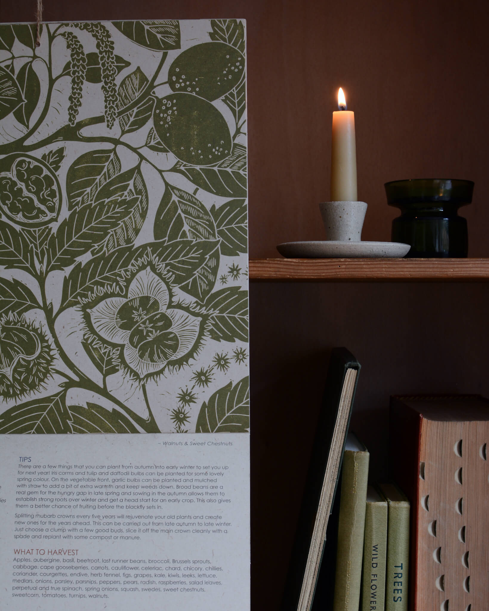 An oatmeal coloured ceramic dinner candle holder, next to a botanical print and collection of books.