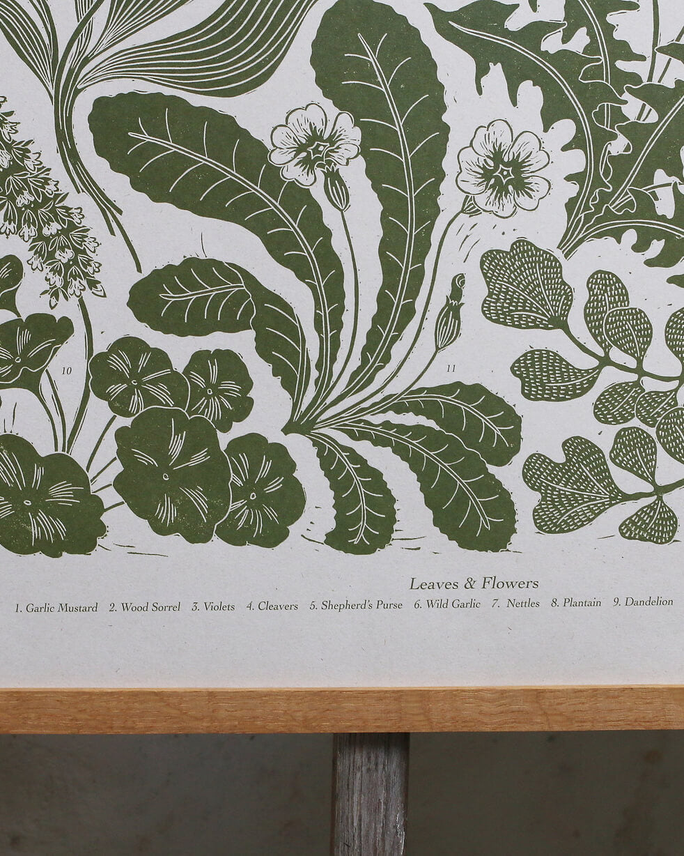 A detail of a green botanical print, depicting Spring plants.