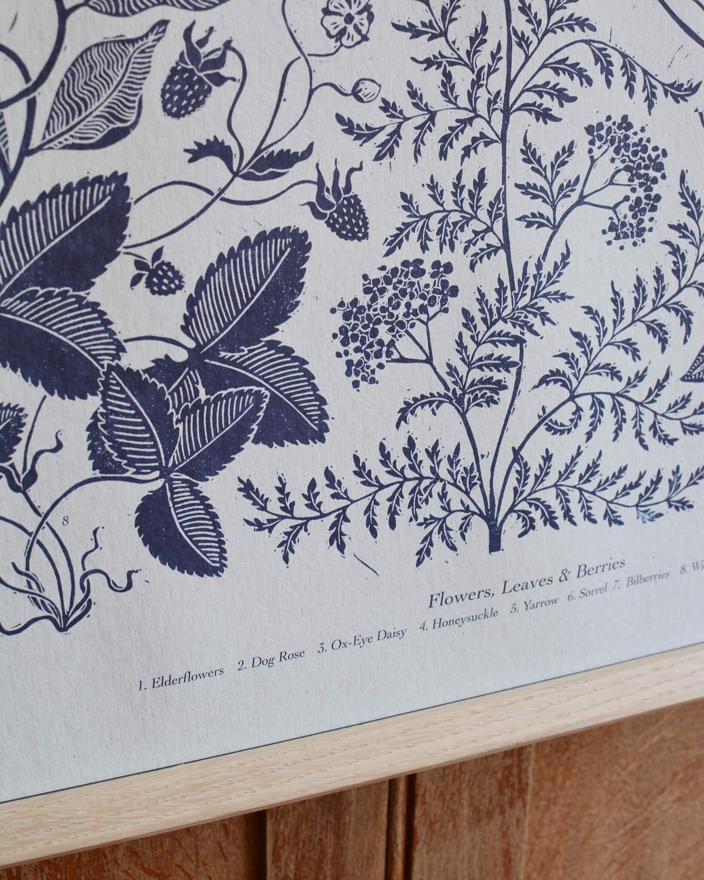 Close-up of a linocut print of summer plants in a deep inky blue.