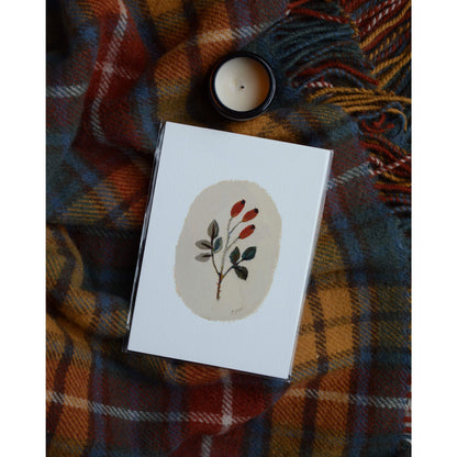 Multicoloured check blanket with rosehip illustration and candle.