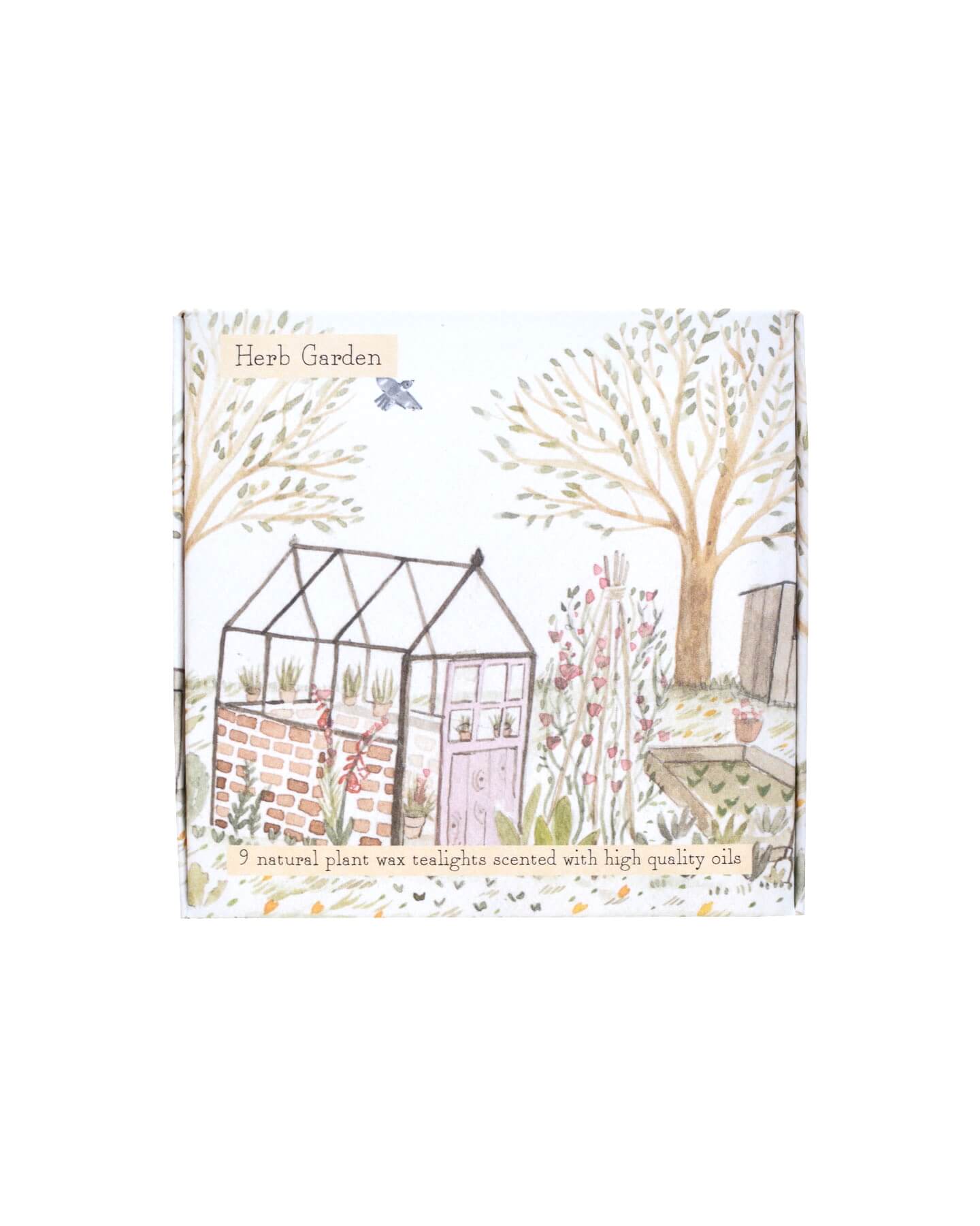 A box of tealights, with an illustrated box featuring a glasshouse within a summer garden.