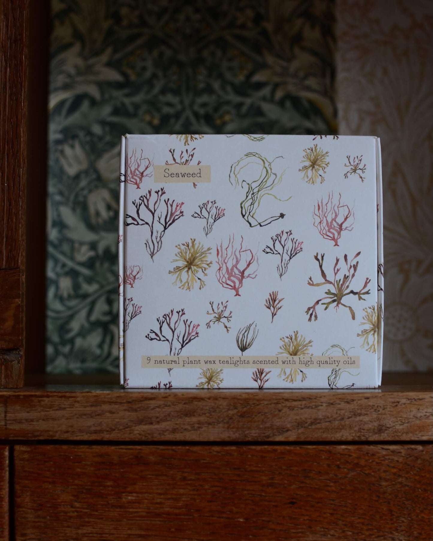 A box of nine tealights, with an illustrated box featuring watercolour illustrations of seaweed.